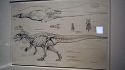 dino20140412_131036_LLS.jpg