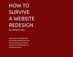 how to survive a website redesign cover